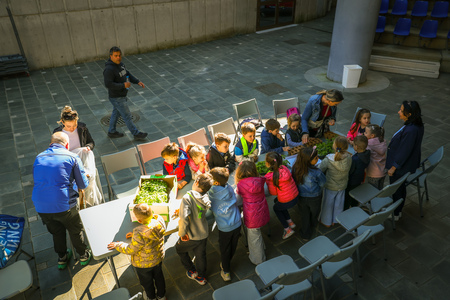 Dan Zemlje_Foto Daniel Skerjanc-0135